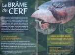 Affiche br&acirc;me du cerf.