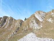Bouquetins invisibles sur la photo, juste &agrave; gauche du sapin
