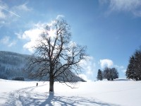 Arriv&eacute;e au Col de l'Aiguillon
