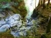 Gorges en montant à L'Arpille 2085m
