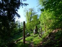 Le chemin de mont&eacute;e