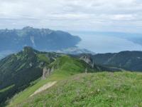 Vue du L&eacute;man depuis la croupe ouest de la Tour d'A&iuml;.