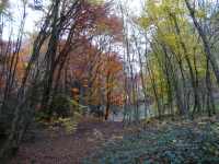 Lisi&egrave;re sup&eacute;rieure.