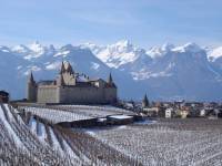 Ch&acirc;teau d'Aigle